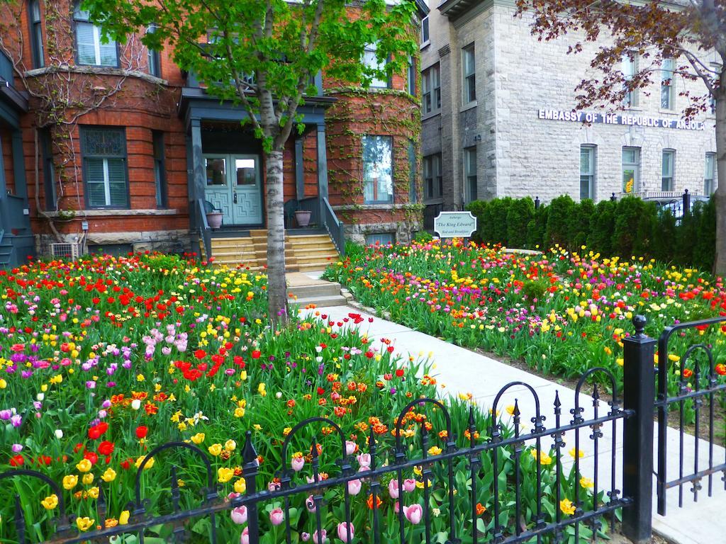 Auberge King Edward Bed And Breakfast Ottawa Cameră foto