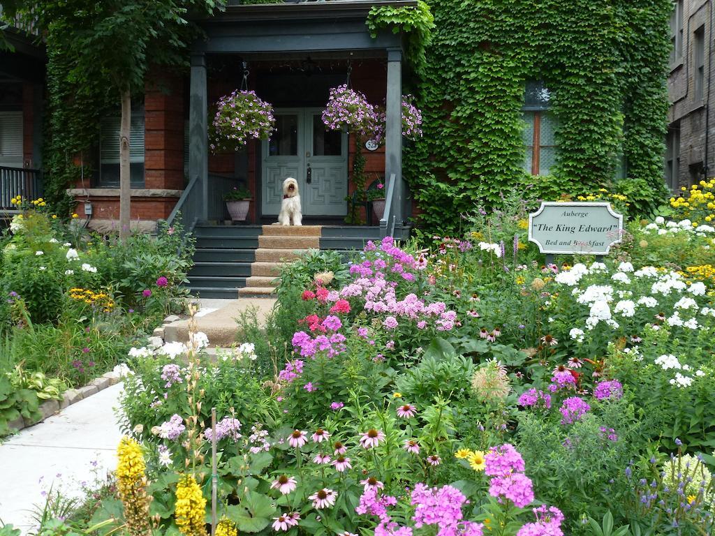 Auberge King Edward Bed And Breakfast Ottawa Exterior foto