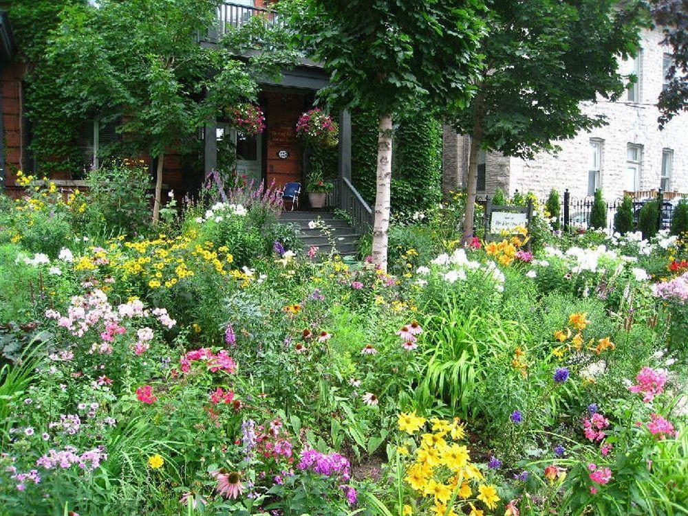 Auberge King Edward Bed And Breakfast Ottawa Exterior foto